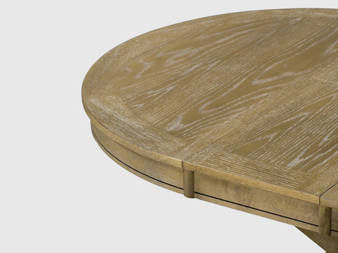 Gangaur-Dining-Table-Set-4-Seater