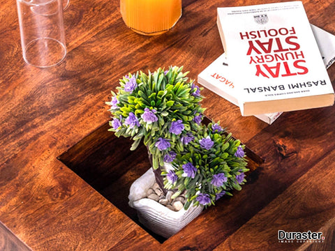 Ummed Solid Sheesham wood Coffee Table#1 - Duraster 